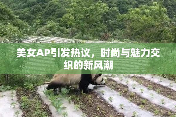 美女AP引发热议，时尚与魅力交织的新风潮