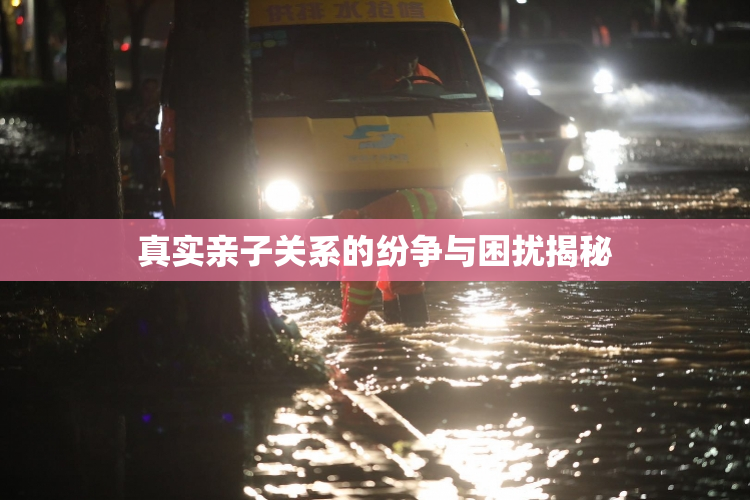 真实亲子关系的纷争与困扰揭秘