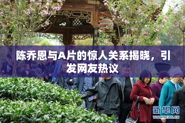 陈乔恩与A片的惊人关系揭晓，引发网友热议