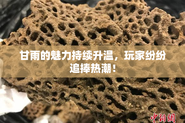 甘雨的魅力持续升温，玩家纷纷追捧热潮！
