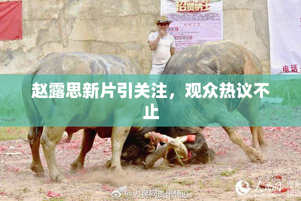赵露思新片引关注，观众热议不止