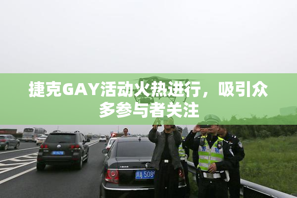 捷克GAY活动火热进行，吸引众多参与者关注
