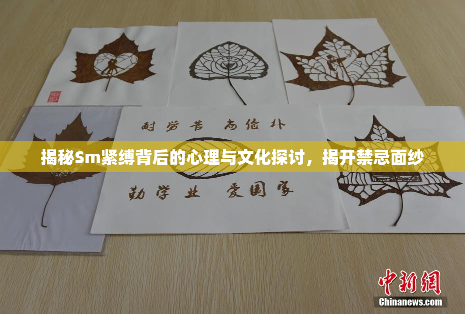 揭秘Sm紧缚背后的心理与文化探讨，揭开禁忌面纱