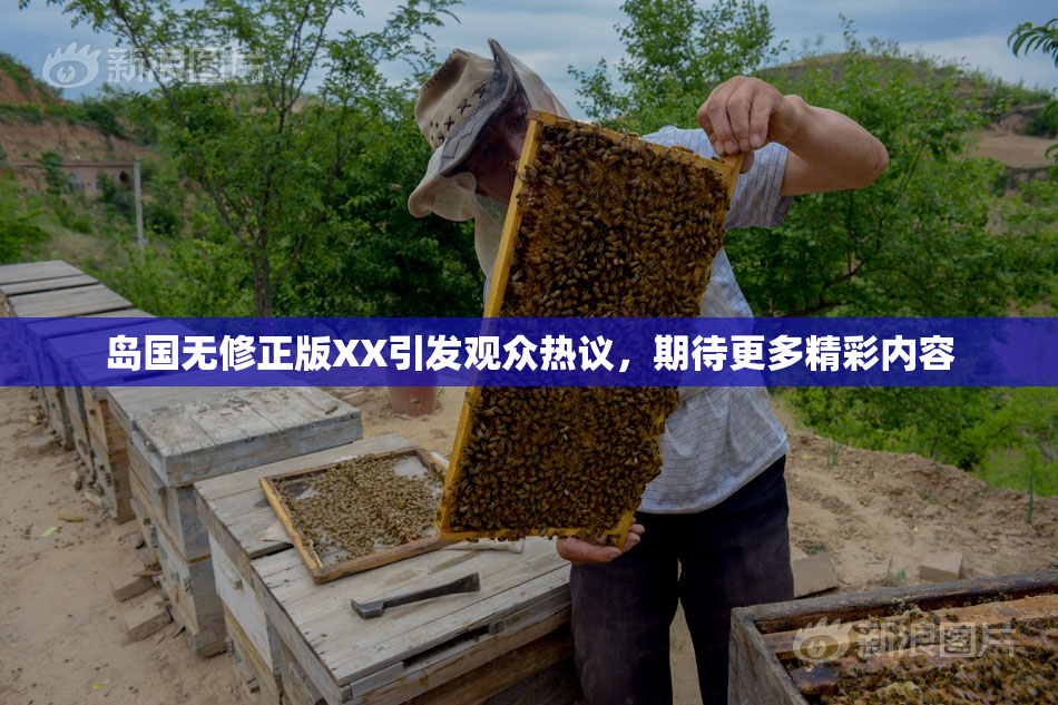 岛国无修正版XX引发观众热议，期待更多精彩内容