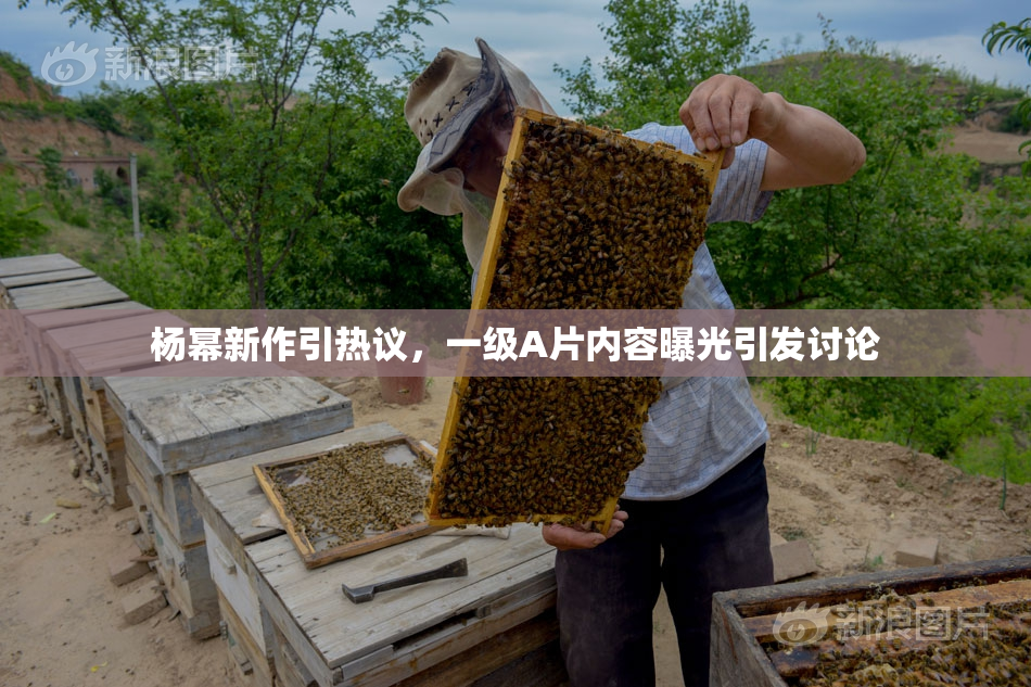 杨幂新作引热议，一级A片内容曝光引发讨论