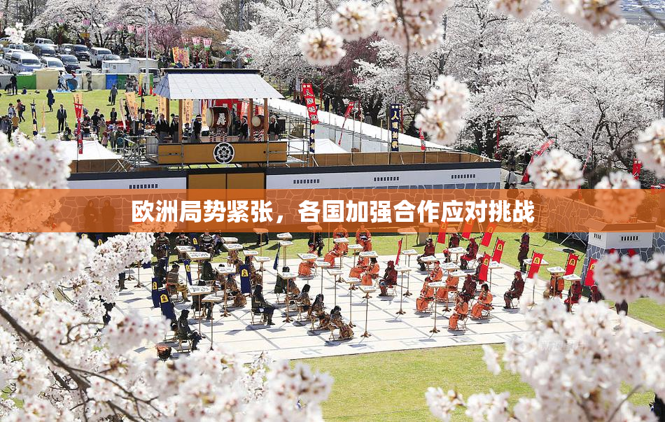 欧洲局势紧张，各国加强合作应对挑战