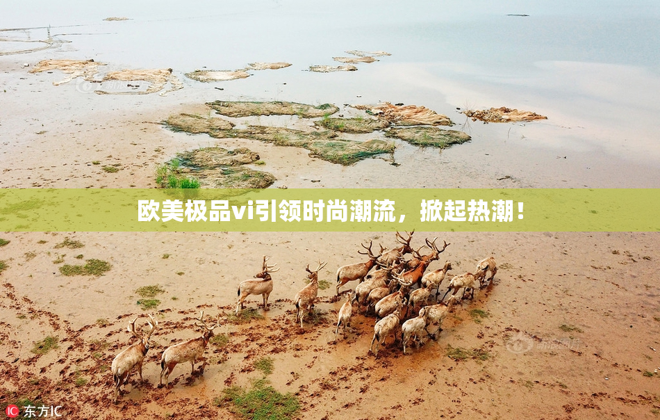 欧美极品vi引领时尚潮流，掀起热潮！