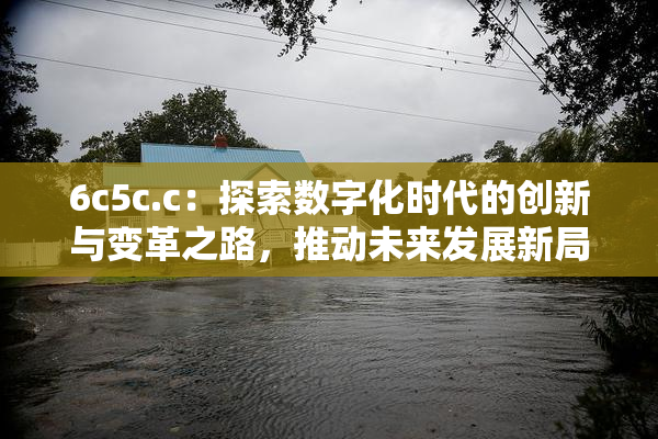 6c5c.c：探索数字化时代的创新与变革之路，推动未来发展新局面