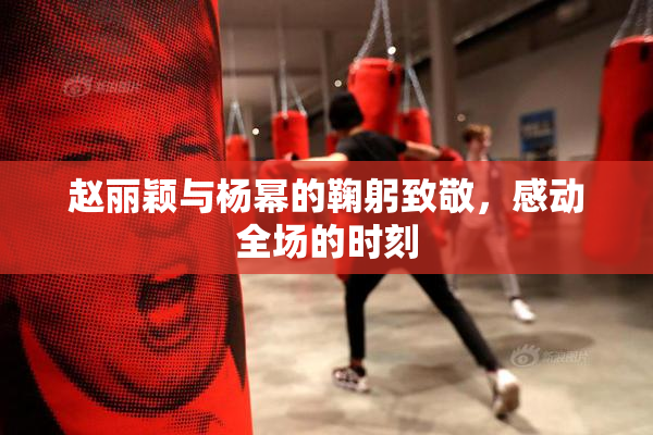 赵丽颖与杨幂的鞠躬致敬，感动全场的时刻