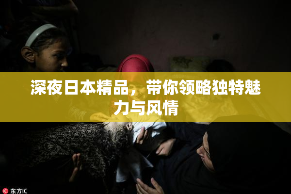 深夜日本精品，带你领略独特魅力与风情