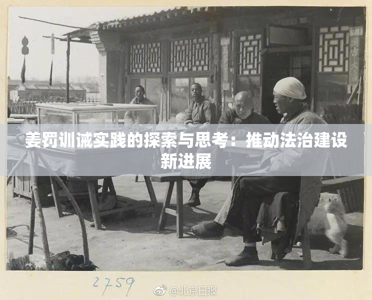 姜罚训诫实践的探索与思考：推动法治建设新进展