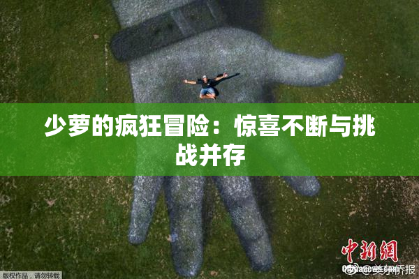 少萝的疯狂冒险：惊喜不断与挑战并存