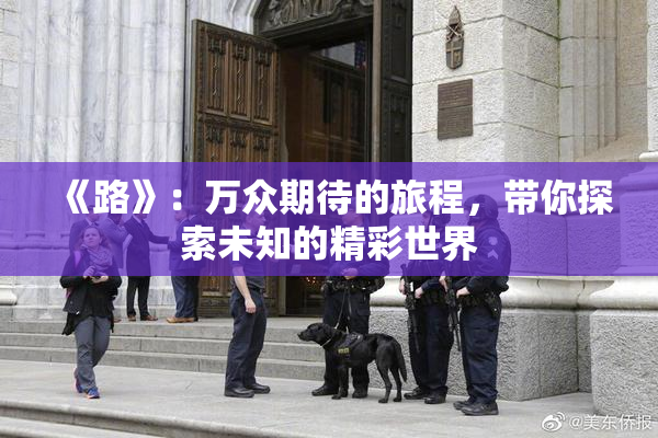 《路》：万众期待的旅程，带你探索未知的精彩世界