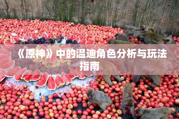 《原神》中的温迪角色分析与玩法指南
