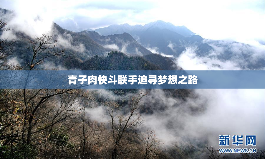 青子肉快斗联手追寻梦想之路