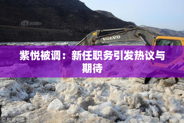 紫悦被调：新任职务引发热议与期待
