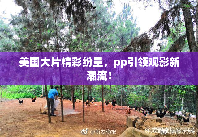 美国大片精彩纷呈，pp引领观影新潮流！