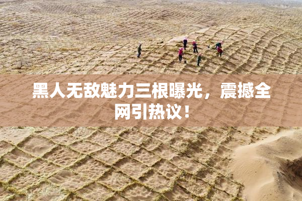 黑人无敌魅力三根曝光，震撼全网引热议！