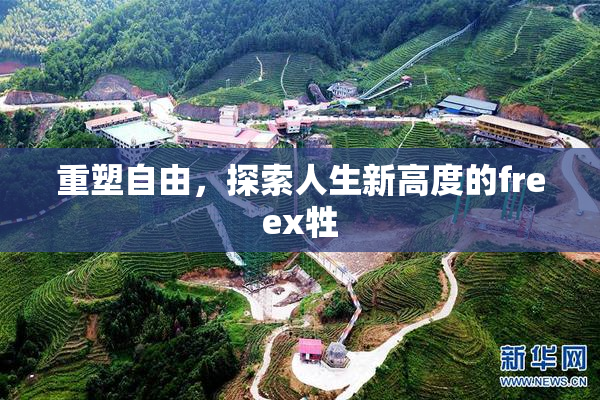 重塑自由，探索人生新高度的freex牲
