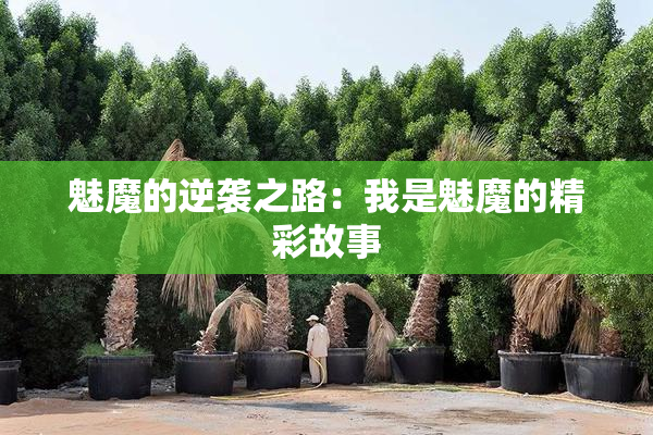 魅魔的逆袭之路：我是魅魔的精彩故事
