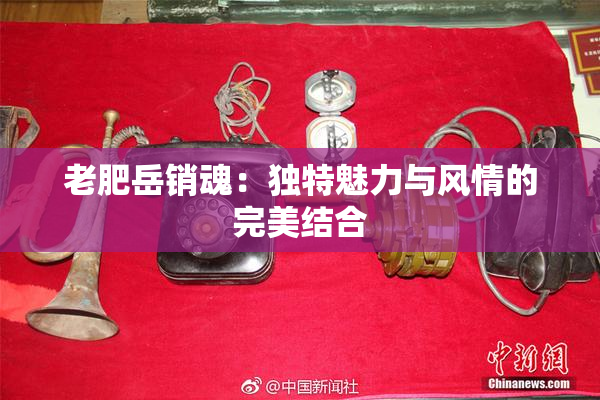 老肥岳销魂：独特魅力与风情的完美结合