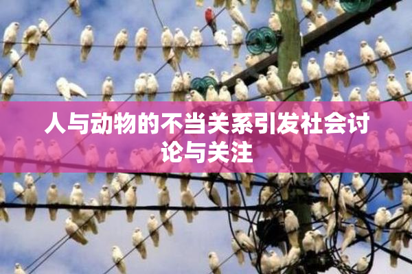 人与动物的不当关系引发社会讨论与关注