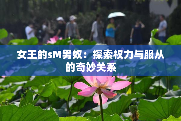 女王的sM男奴：探索权力与服从的奇妙关系