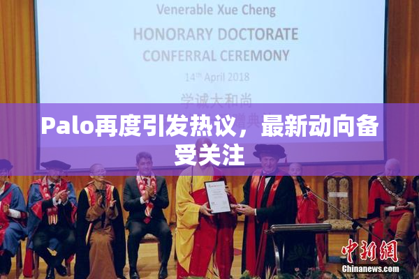 Palo再度引发热议，最新动向备受关注