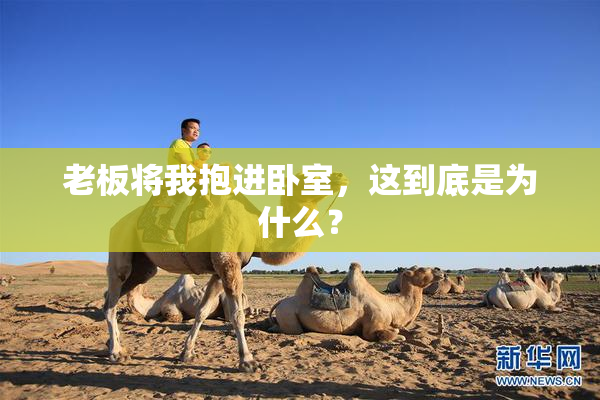 老板将我抱进卧室，这到底是为什么？