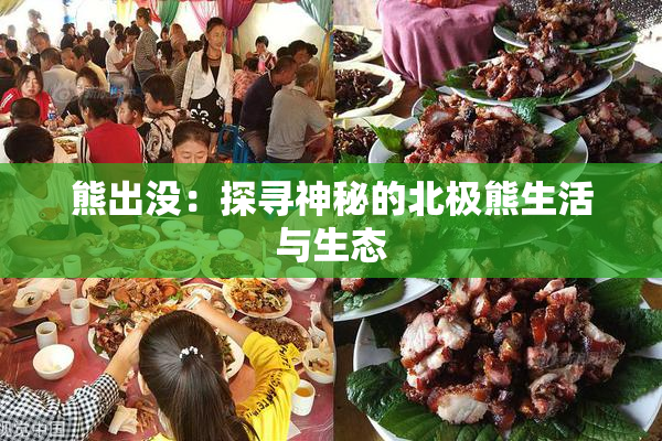 熊出没：探寻神秘的北极熊生活与生态