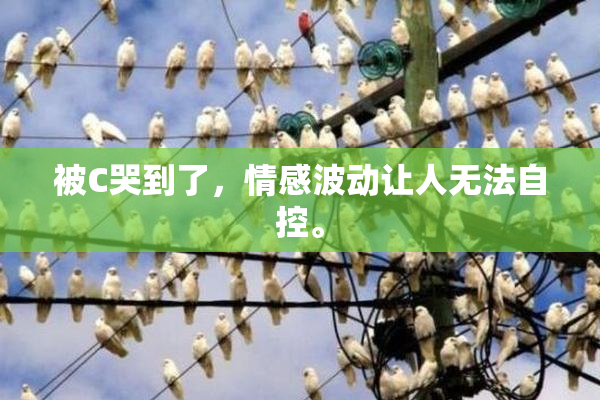 被C哭到了，情感波动让人无法自控。