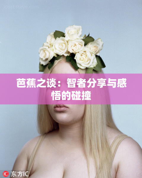 芭蕉之谈：智者分享与感悟的碰撞