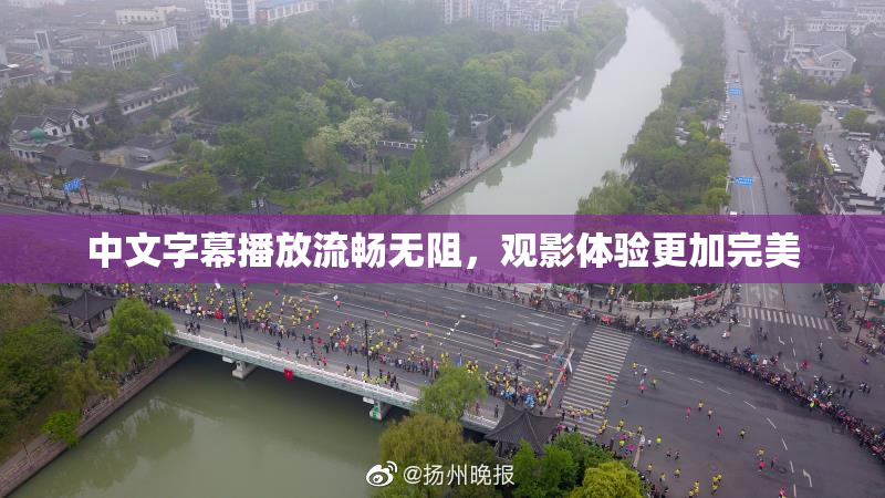 中文字幕播放流畅无阻，观影体验更加完美