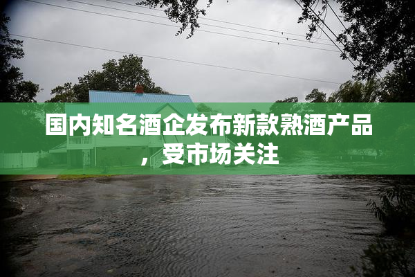国内知名酒企发布新款熟酒产品，受市场关注