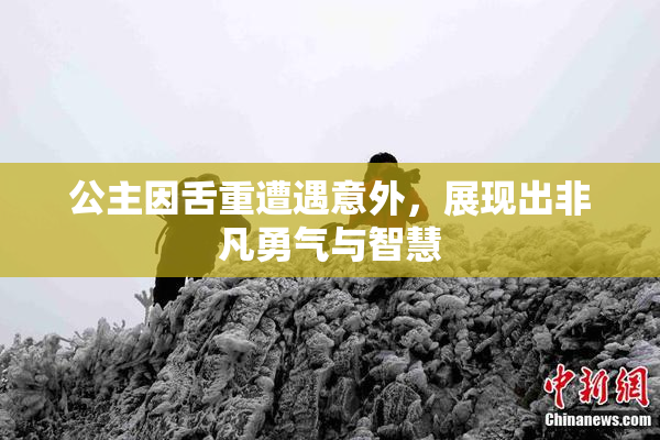 公主因舌重遭遇意外，展现出非凡勇气与智慧
