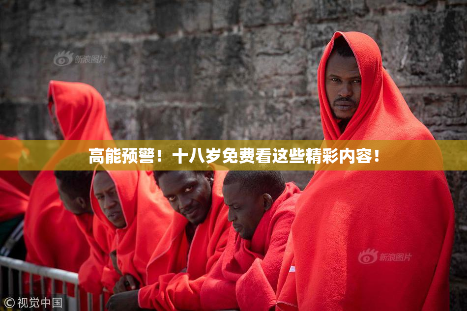 高能预警！十八岁免费看这些精彩内容！