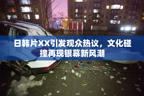 日韩片XX引发观众热议，文化碰撞再现银幕新风潮