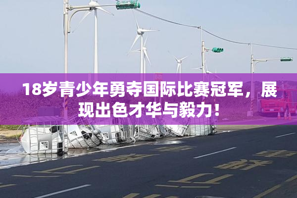 18岁青少年勇夺国际比赛冠军，展现出色才华与毅力！