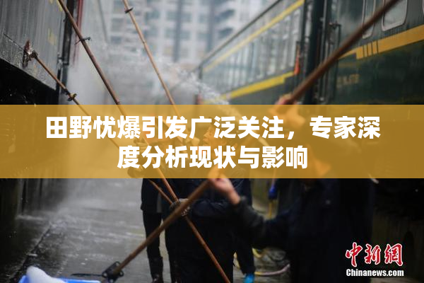 田野忧爆引发广泛关注，专家深度分析现状与影响