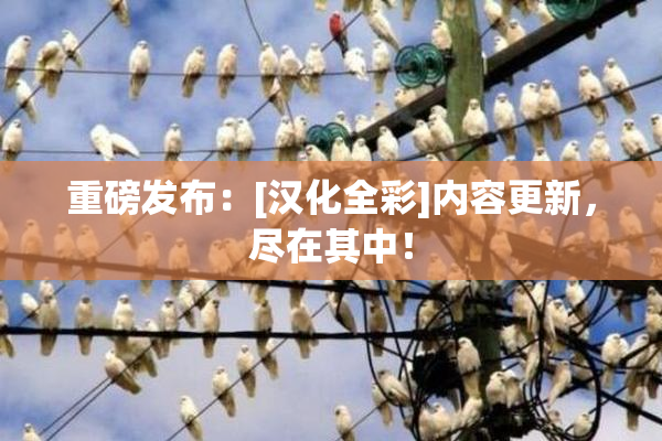 重磅发布：[汉化全彩]内容更新，尽在其中！
