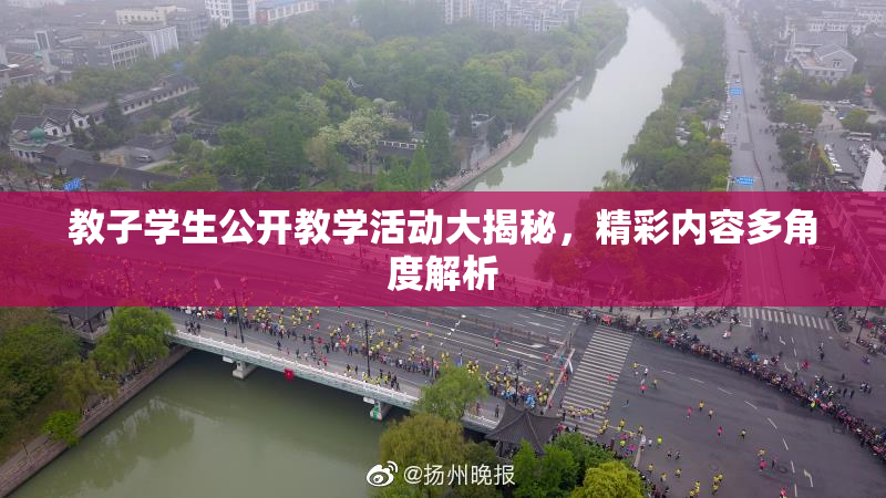 教子学生公开教学活动大揭秘，精彩内容多角度解析