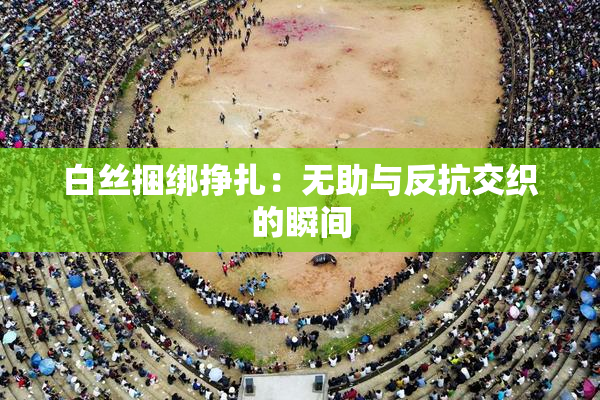 白丝捆绑挣扎：无助与反抗交织的瞬间