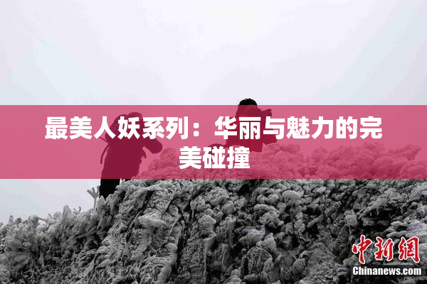 最美人妖系列：华丽与魅力的完美碰撞