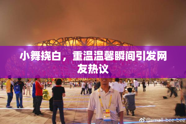 小舞挠白，重温温馨瞬间引发网友热议