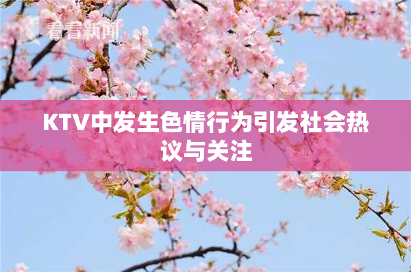 KTV中发生色情行为引发社会热议与关注
