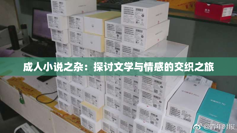 成人小说之杂：探讨文学与情感的交织之旅