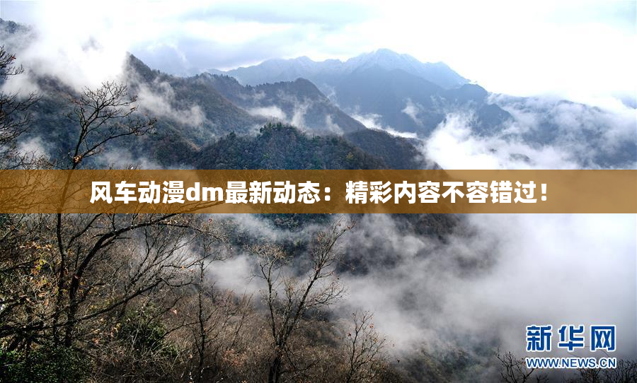 风车动漫dm最新动态：精彩内容不容错过！