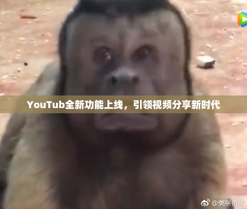 YouTub全新功能上线，引领视频分享新时代