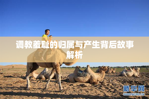 调教羞耻的归属与产生背后故事解析