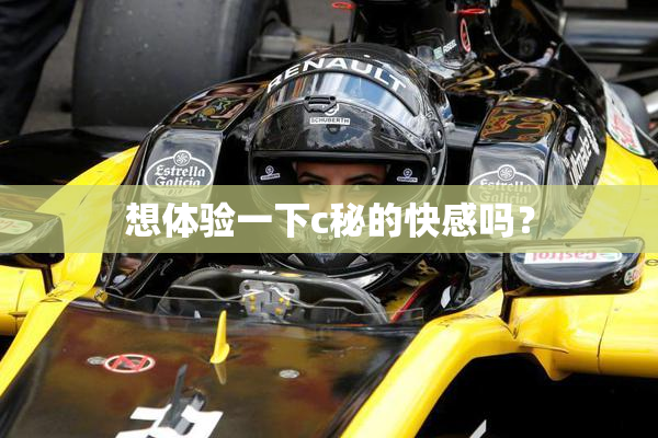 想体验一下c秘的快感吗？